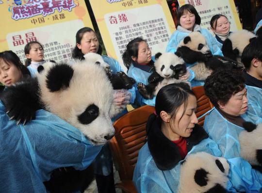 ChinaPhotos/Getty Images..MY BAO SHI IS IN HERE SOMEWHERE