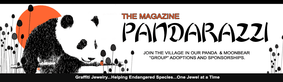 Pandarazzi