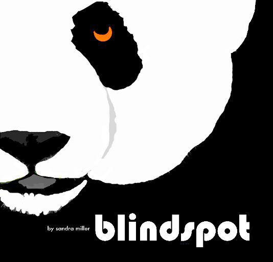 Blindspot Book